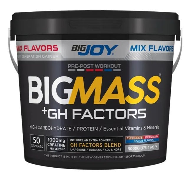 Bigjoy BIGMASS Gainer GH FACTORS MİX AROMALI 5kg(