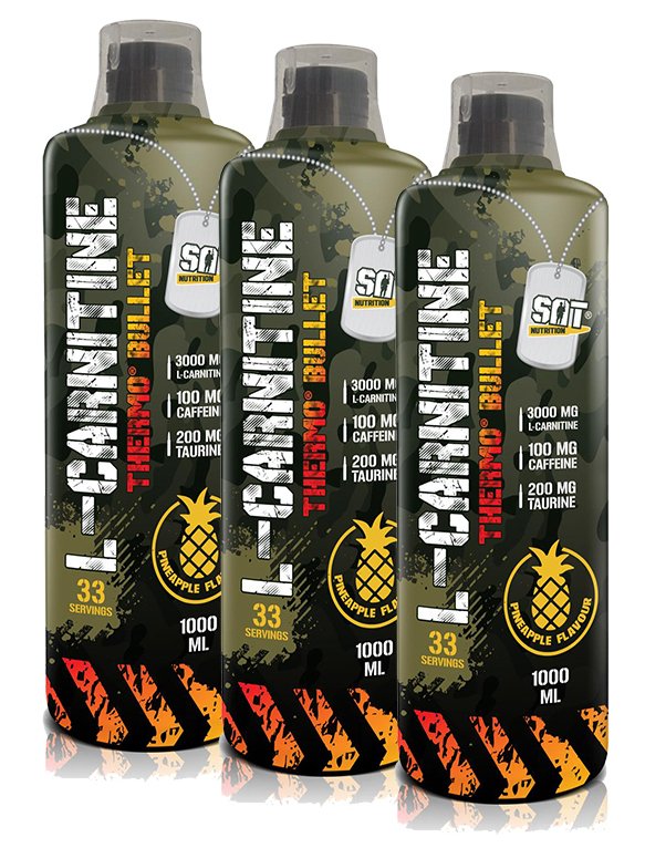 Sat Nutrition L-Carnitine Thermo Bullet 33 Servis 1 Litre 3 X Adet